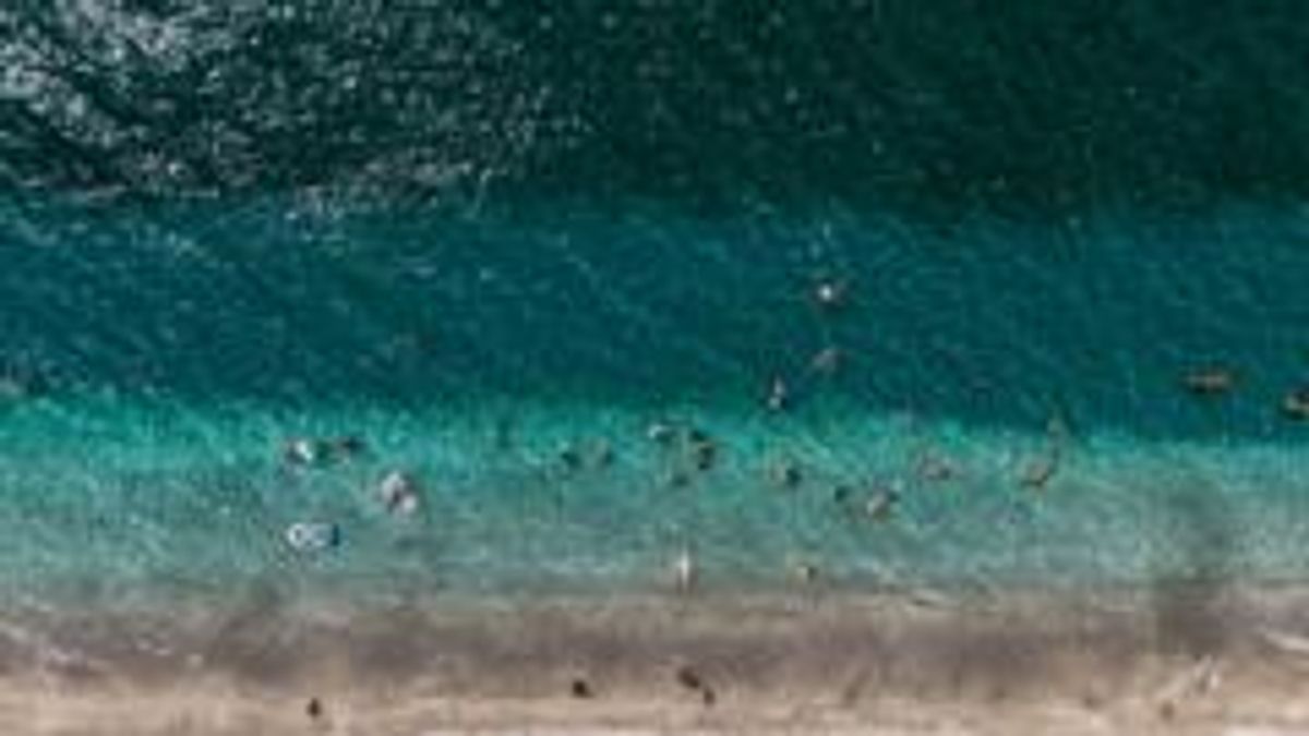 Wereldzeeën bereiken recordtemperaturen in juli te midden van El Niño-ontwikkeling
