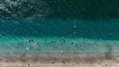 Wereldzeeën bereiken recordtemperaturen in juli te midden van El Niño-ontwikkeling